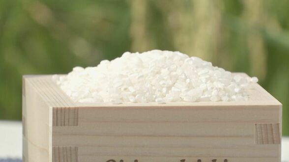 “備蓄米”は3月末には店頭に…これでコメは安くなる？関係者から「NO」の声があがる背景【チャント！大石邦彦が聞く】　|　名古屋・愛知・岐阜・三重のニュース【CBC news】 | CBC web