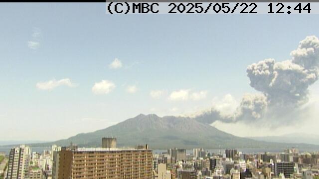 桜島で噴火、噴煙2600ｍまで上がる　降灰は種子島まで予想　鹿児島|TBS NEWS DIG