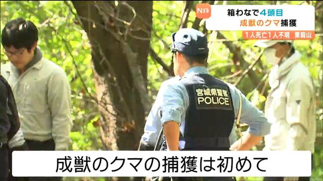 栗駒山で成獣のクマ１頭がワナにかかる クマ襲撃現場付近 宮城・栗原市|TBS NEWS DIG