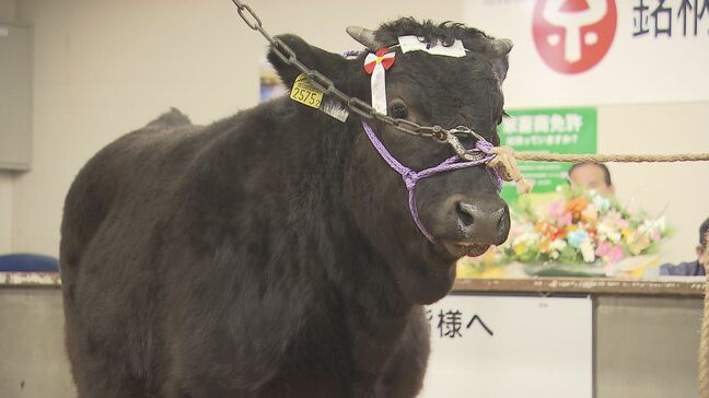 「そろそろ引退…」子牛の初競り、9年ぶり高値　背景にエサ代高騰と農家の減少　福島|TBS NEWS DIG