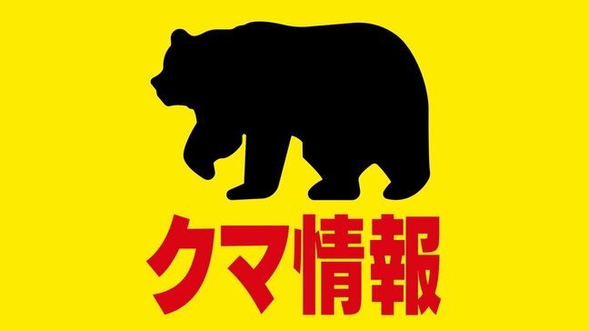 【ヒグマ速報】道路に飛び出してきたヒグマと高速バスが衝突　乗用車と衝突する事故も…北海道でヒグマとの事故相次ぐ|TBS NEWS DIG