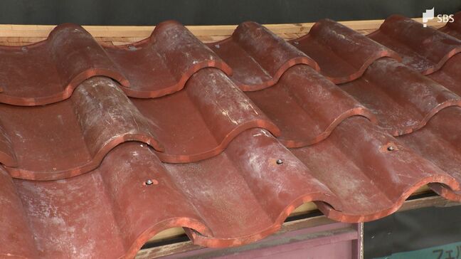 台風や突風に備える屋根の災害対策　新たな防災瓦や改修に自治体の補助金も【わたしの防災】|TBS NEWS DIG