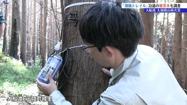 「みちのく潮風トレイル」沿道で被災した木々の調査開始　大船渡・大規模山林火災を受け計測機器を設置　岩手|TBS NEWS DIG