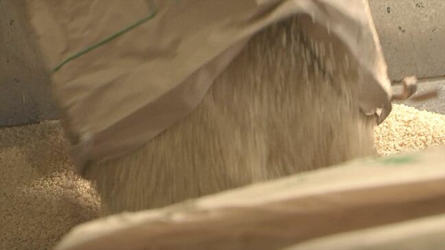 備蓄米 店頭に並んだら購入する？しない？　街頭の反応　小売店の販売予定の店舗は　山梨|TBS NEWS DIG