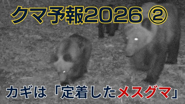 【クマ予報】若いオスグマは「台風」一過性の現象…対策のカギは「住宅地付近に定着したメスグマ」子グマも出没を繰り返すリスクに|TBS NEWS DIG