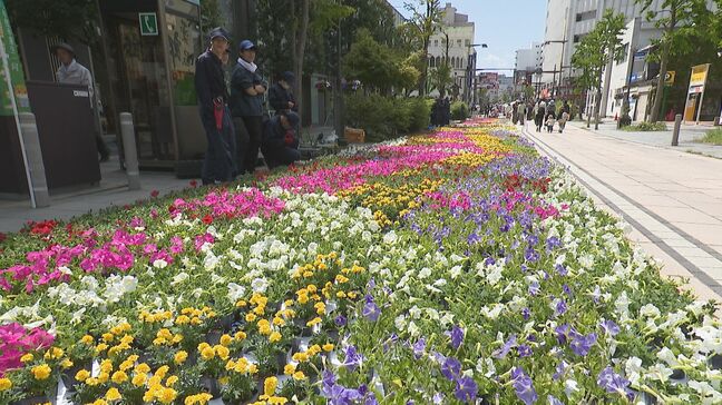 大型連休後半・善光寺花回廊が開幕　獅子舞フェスティバルも「迫力が感動」|TBS NEWS DIG