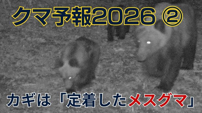 【クマ予報】若いオスグマは「台風」一過性の現象…対策のカギは「住宅地付近に定着したメスグマ」子グマも出没を繰り返すリスクに|TBS NEWS DIG