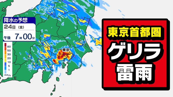 【東京首都圏】警報級大雨おそれ　ゲリラ雷雨に注意　気象庁「大雨・落雷・突風」注意呼びかけ【雨・発雷確率シミュレーション ／ 関東甲信地方の天気予報】東京・神奈川・埼玉・千葉・群馬・栃木・茨城・山梨・長野|TBS NEWS DIG