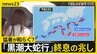 今年は猛暑が和らぐ？7年以上続いた「黒潮大蛇行」終息の兆し　消えたシラス不漁も解消か　専門家が解説【news23】|TBS NEWS DIG