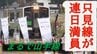 「まるで山手線のようだ」全線運転再開で大ブーム　　ＪＲ只見線・只見町　|　福島のニュース│TUF