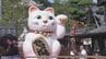 伊勢おかげ横丁に全国から招き猫1万点以上が大集合 今年のテーマは式年遷宮「お木曳」展示販売会のほか招き猫の絵付け体験も　|　名古屋・愛知・岐阜・三重のニュース【CBC news】 | CBC web