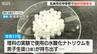 菓子と偽り水酸化ナトリウムを… 中学生が下級生にを食べさせようとした問題　中学校で保護者説明会　新潟・五泉市　|　新潟のニュース・天気｜BSN NEWS｜BSN新潟放送