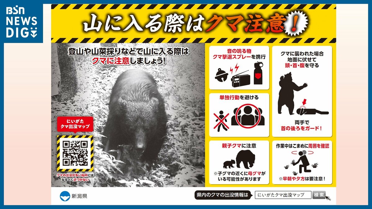 ゴールデンウィークの行楽シーズン『クマ出没』に注意を！ | 新潟の