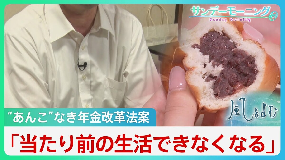 年金改革法案は「あんこが入っていないあんパン」 基礎年金の底上げ