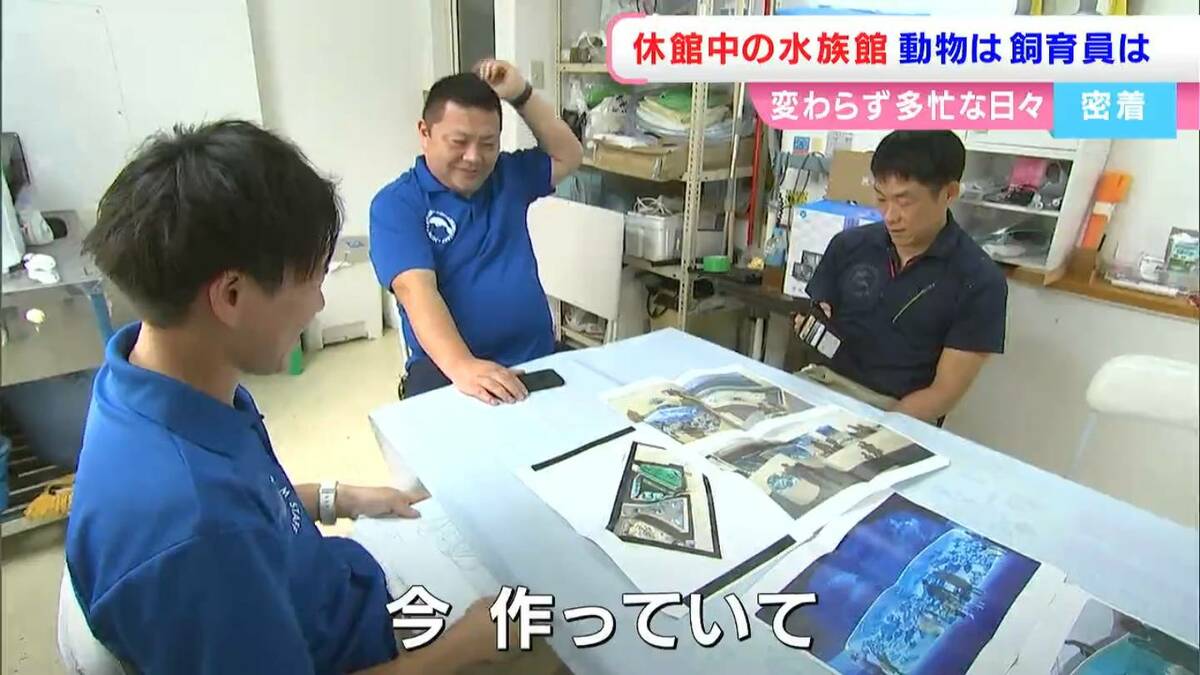 新屋島水族館】休館中の動物たちは？飼育員たちの日常は？「動物の調子