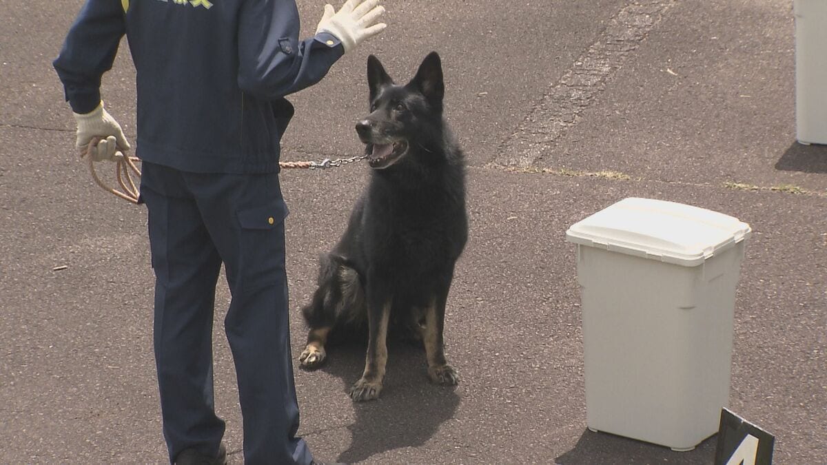 捜索に不可欠な嗅覚競う　嘱託警察犬の競技会　大分