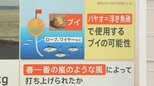 “謎の漂着物” 突如海岸に現れた鉄球の正体は“パヤオ”? 奥深い“漂着物”の世界とは【解説】|TBS NEWS DIG