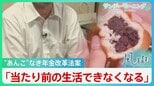 年金改革法案は「あんこが入っていないあんパン」 基礎年金の底上げ“削除”が直撃する就職氷河期世代の悲鳴【風をよむ・サンデーモーニング】|TBS NEWS DIG
