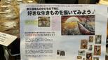 都立第五福竜丸展示館で開催。原水爆や、様々な『ちいさな生きものの姿』を描いた山内若菜展|TBS NEWS DIG