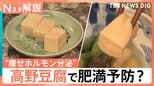 高野豆腐に肥満予防の可能性　新研究で“痩せホルモン”分泌も　ガパオやかりんとうなど煮物以外の活用術【Nスタ解説】|TBS NEWS DIG