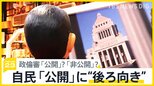 自民党裏金問題　政倫審「公開」「非公開」で与野党の折り合いつかず　自民はなぜ「公開」に後ろ向き？【news23】|TBS NEWS DIG