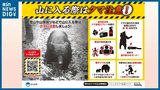 ゴールデンウィークの行楽シーズン『クマ出没』に注意を!|TBS NEWS DIG