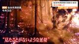 大船渡・山林火災「消しても消しても、山奥に火がまだまだ…」消防士の活動を難航させた『特有の地形』と『木の中の火種』 | 宮城のニュース│tbc NEWS│tbc東北放送
