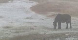 『えっ 雪!?』阿蘇市で初冠雪 山肌白く今シーズン初の雪景色に 熊本 | 熊本のニュース|RKK NEWS|RKK熊本放送
