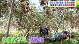 【青森県知事選挙】候補者に聞く「農林水産業」 | 青森のニュース│ATV NEWS│青森テレビ
