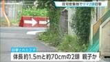 住宅密集地で親子とみられるクマ2頭目撃 付近にはこども園も 仙台・宮城野区 | 宮城のニュース│tbc NEWS│tbc東北放送