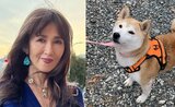 【工藤静香】 犬保護ボランティアグループへ「20頭分の首輪、リード、ハーネスを寄付させていただきました」「1頭でも多くの子が幸せになれます様に」|TBS NEWS DIG
