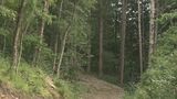 「家族がクマに襲われた」 山に入っていた80代男性が顔と両腕から出血 クマの出没が相次ぐ岐阜県 ことし3人目の負傷者 岐阜・高山市 | 名古屋・愛知・岐阜・三重のニュース【CBC news】 | CBC web