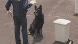 捜索に不可欠な嗅覚競う 嘱託警察犬の競技会 大分 | 大分のニュース|OBS NEWS|大分放送
