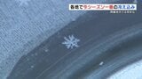 「雪の結晶が氷上に」阿蘇市で-0.2℃と冬日に 各地で今季1番の冷え込み 熊本|TBS NEWS DIG