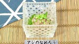 南蛮みそでピリ辛!ご飯もお酒も進んじゃう「アジのなめろう」お魚レシピ【わっちtheキッチン】 | 青森のニュース│ATV NEWS│青森テレビ