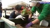 となん支援学校の生徒が遠野緑峰高校の高校生の協力を得て花壇作りに挑戦 岩手・盛岡市|TBS NEWS DIG