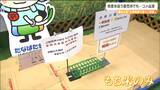 「全国的なコメ不足」JA直売所でも品薄状態 ナゼ品薄?いつ解消されるのか?坂本農水大臣の見解は|TBS NEWS DIG