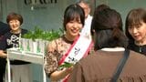 初夏の北海道を感じるスズラン200束を配布　鹿児島市|TBS NEWS DIG