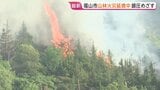 延焼続く広島・福山市の山火事 「きょう中の鎮圧目指す」と消防 住宅への延焼おそれは“小さい”|TBS NEWS DIG