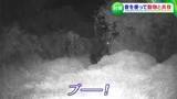 「おー、クマが逃げていく!」 音で退散 その名は “くまドン” クマに悩まされる北海道の救世主となるか |TBS NEWS DIG