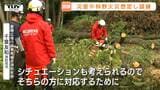 チェーンソーを使い倒木処理の手順を確認 災害時の迅速な対応に向け消防が合同訓練(山形・米沢市)|TBS NEWS DIG
