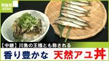 300年以上続く伝統漁法でとる『天然アユ』香り豊かで身フワフワな絶品丼! 和歌山・紀の川【川地洋平の最旬!丼マン】|TBS NEWS DIG