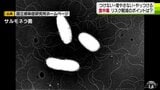 「つけない・増やさない・やっつける」食中毒予防の三原則　リスク軽減のポイントは？|TBS NEWS DIG