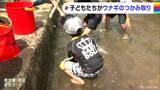 「楽しかった。ぬるぬるしていた」 子どもたちがウナギのつかみ取りに挑戦 放流された用水路で懸命に追いかける姿 名古屋・南区 | 名古屋・愛知・岐阜・三重のニュース【CBC news】 | CBC web