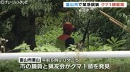 総合運動公園の周辺でクマ1頭を駆除　廃屋に潜んだところ銃声3発 “もう1頭いる可能性” で市が警戒呼びかけ　富山　|　富山のニュース｜天気・防災｜チューリップテレビ