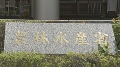 農水省が来年度予算の概算要求で約3.1兆円要求　消費減税の対応にかかる予算は金額示さない「事項要求」| TBS CROSS DIG with Bloomberg