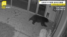 早朝の学校にクマ!カメラが捉えた侵入の一部始終 深刻化するクマ被害に「連絡会議」→「閣僚会議」に格上げ 30日に対応協議へ【news23】|TBS NEWS DIG