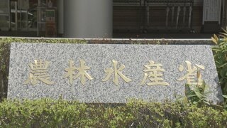 農水省が来年度予算の概算要求で約3.1兆円要求　消費減税の対応にかかる予算は金額示さない「事項要求」| TBS CROSS DIG with Bloomberg