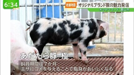 老舗物語】『脂の質が違う』老舗精肉店が立ち上げたオリジナルブランド