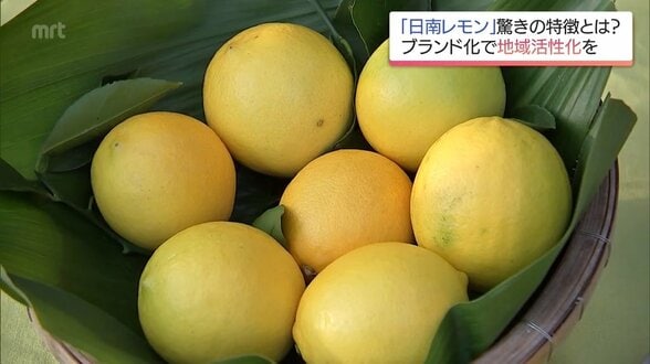 皮の苦味少なくジューシー 「食べられるレモン」日南レモンに熱い視線　|　MRTニュース ｜ ＭＲＴ宮崎放送